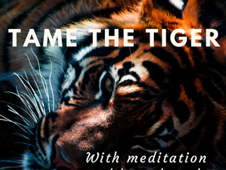 Fight or flee the stress/tiger? Stop. Meditate and chill! Live longer. Here’s why.